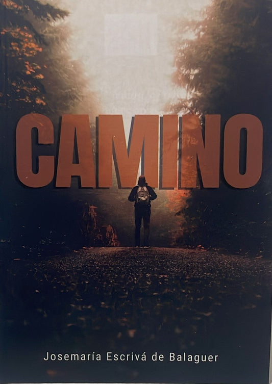 CAMINO